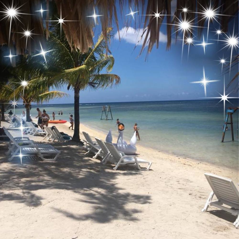 Meet your Posher, Jamie